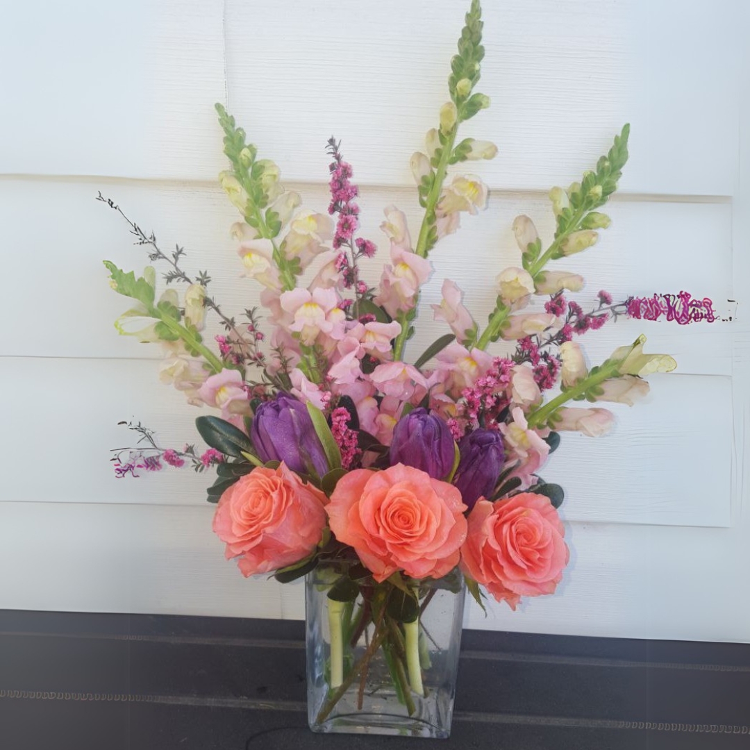 Amsterdam cat spring birthday congratulations baby new $99 $125 $135