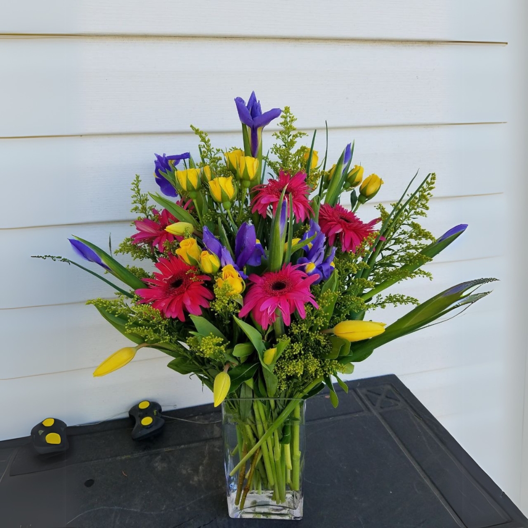 Bending Backwards cat spring birthday new baby $110 $135 $145