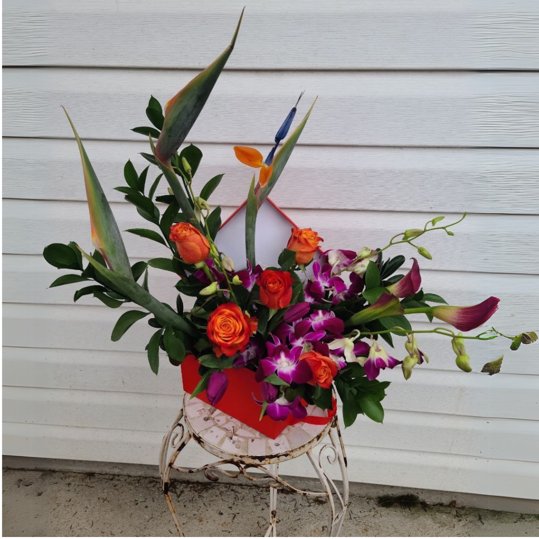 Birds of Paradise cat tropical birthday congratulations $155 $175 $205