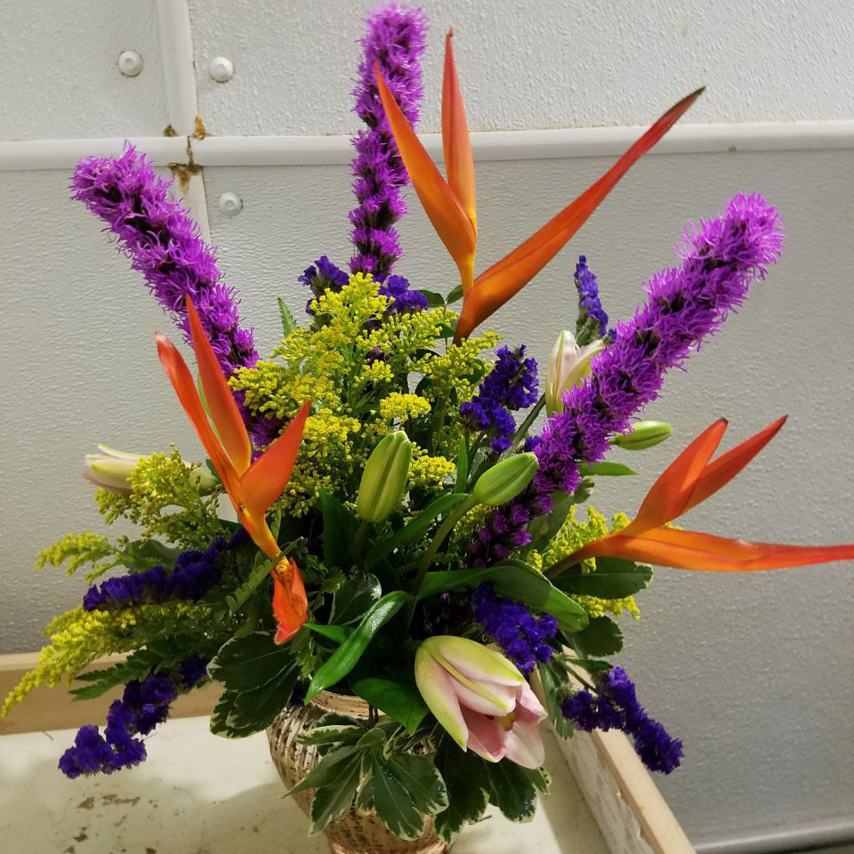 Blooms and Birds cat birthday tropical everyday birthday $135 $150 $165