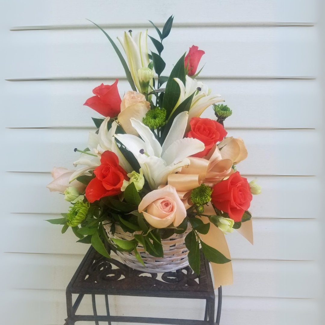 Blushing Savana cat summer, birthday, everyday $95 $125 $165