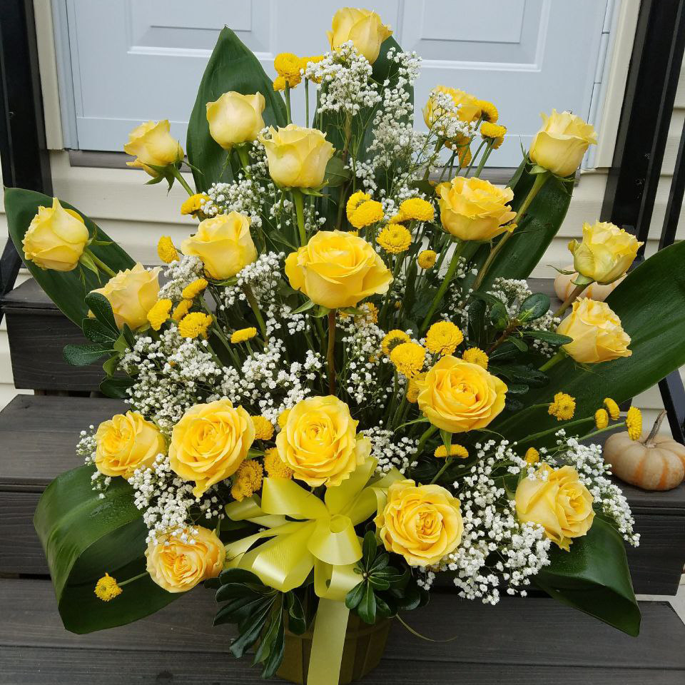 Brighten your day cat roses birthday anniversary summer congregation $125 $150 $175