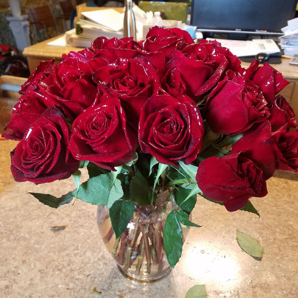 Classic Roses Category anniversary, valentine, birthday roses $125 $165 $185