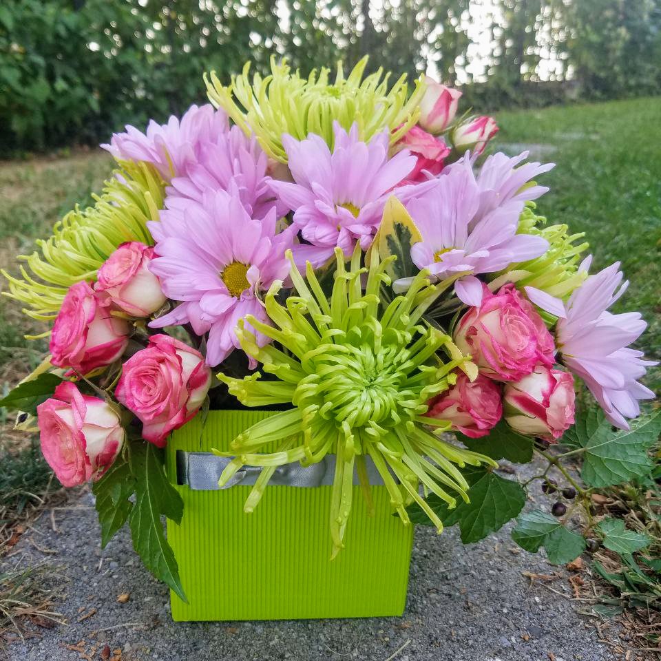 Color Delight Cat birthday, everyday, baby girl $89 $110 $125