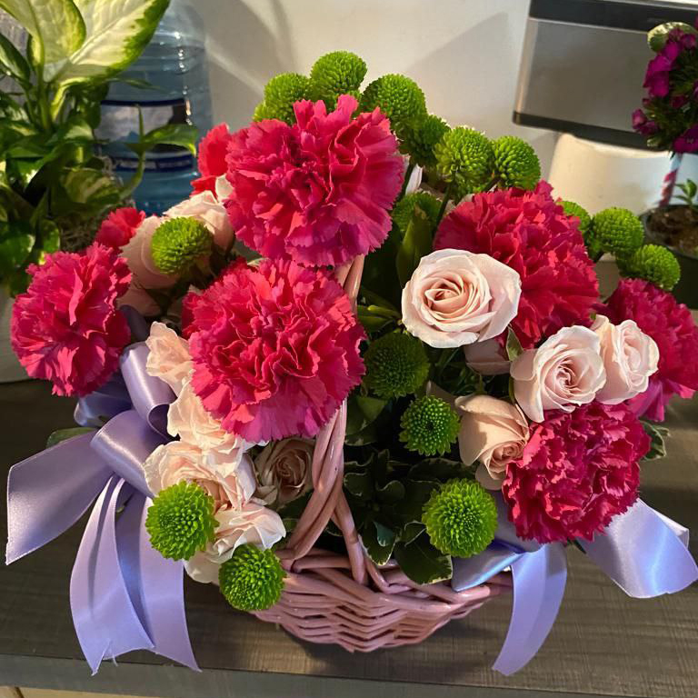 Color Vibes in Basket cat Birthday valentine everyday summer spring $89 $105 $125