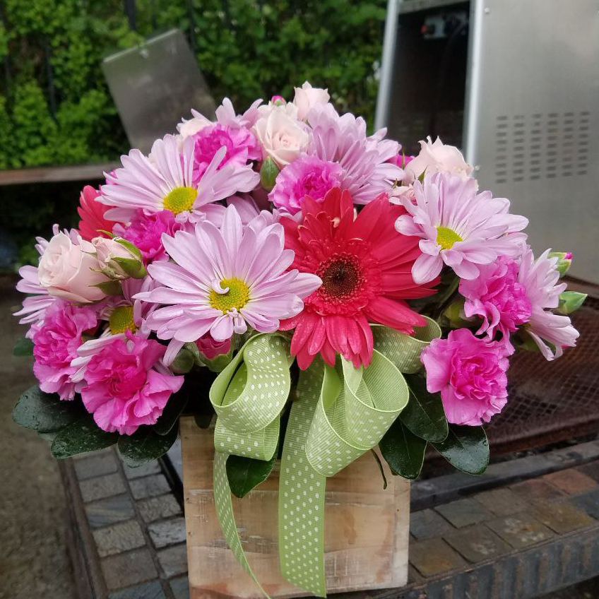 Daisies For You cat birthday baby girl spring $89 $115 $125