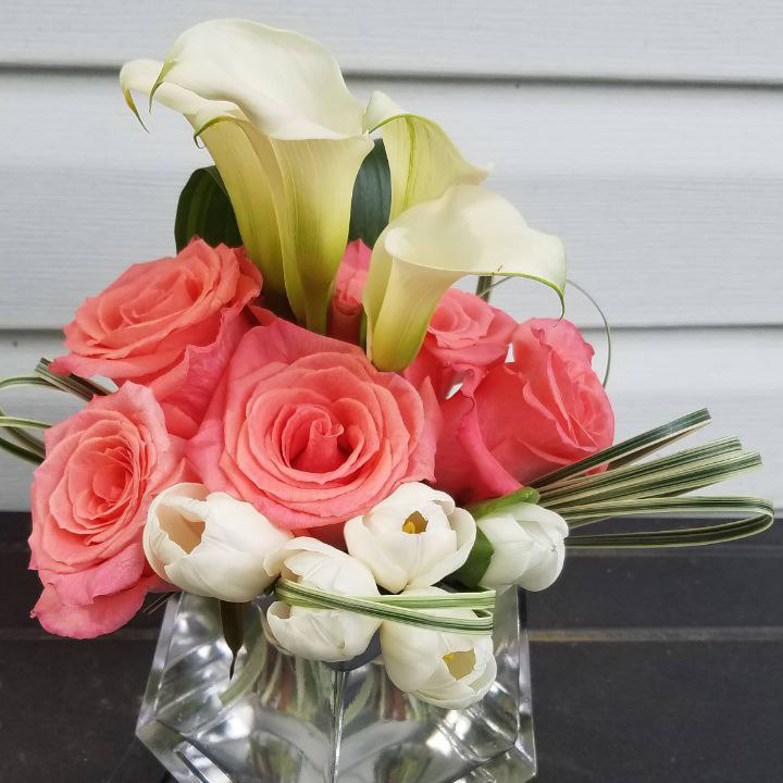 Elegance In Purity cat Birthday valentine spring corporate event $155$185$225