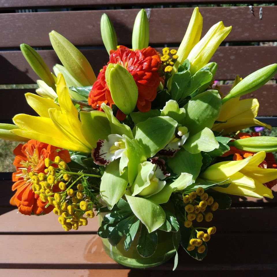 Eleleta Lily cat summer spring birthday congratulations $110 $125 $150