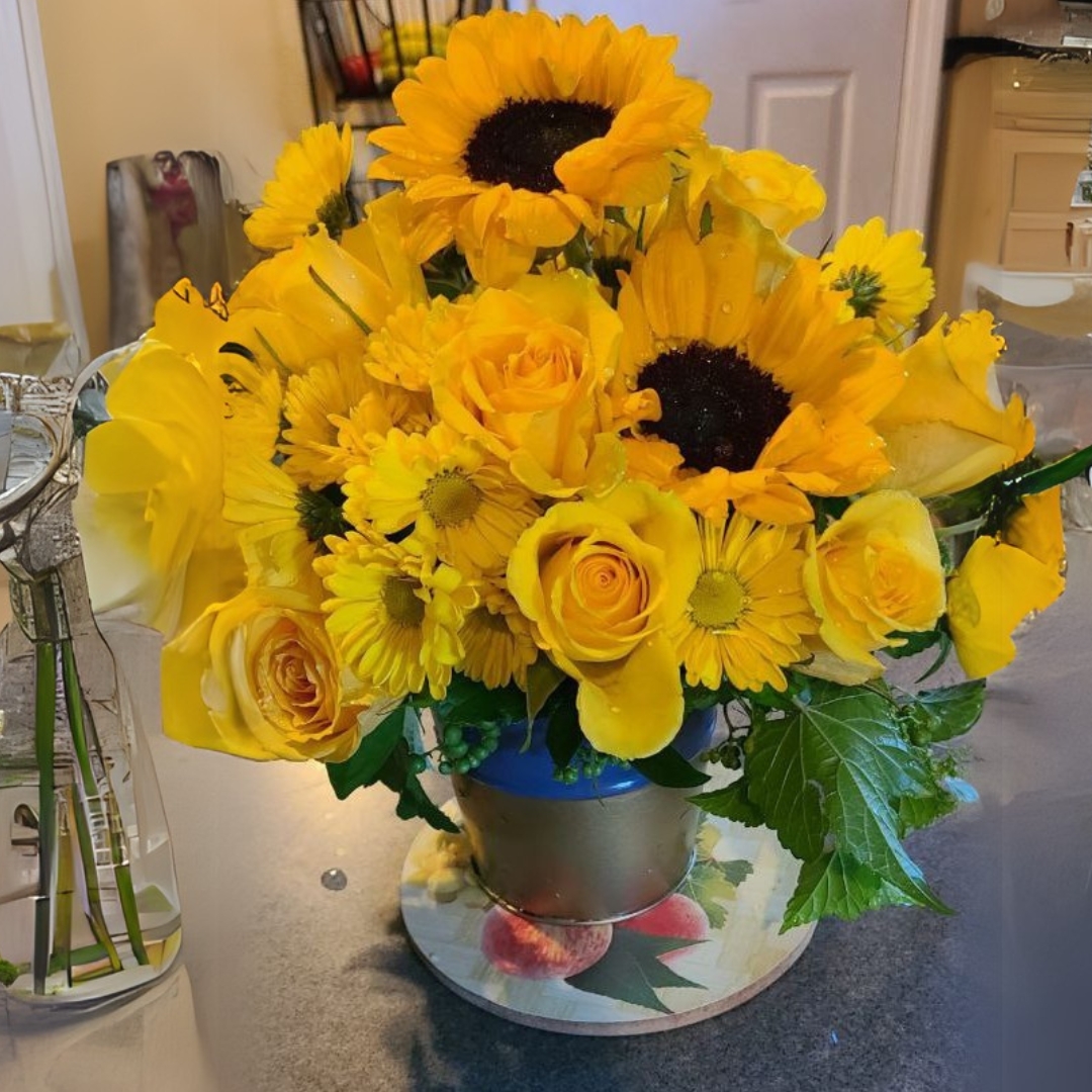 Enlightened You_re cat Birthday,new baby summer,fall $125$155$175