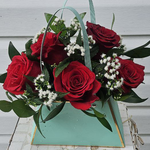 Fever of Love cat valentine, birthday, anniversary $89$125$155