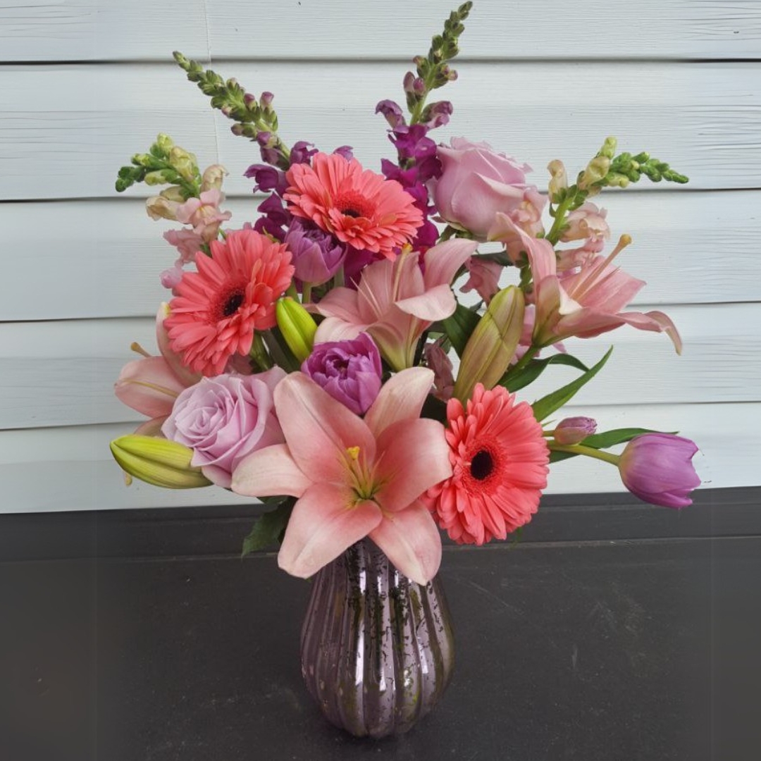 Fiestas cat valentine birthday spring baby girl $135$175$205