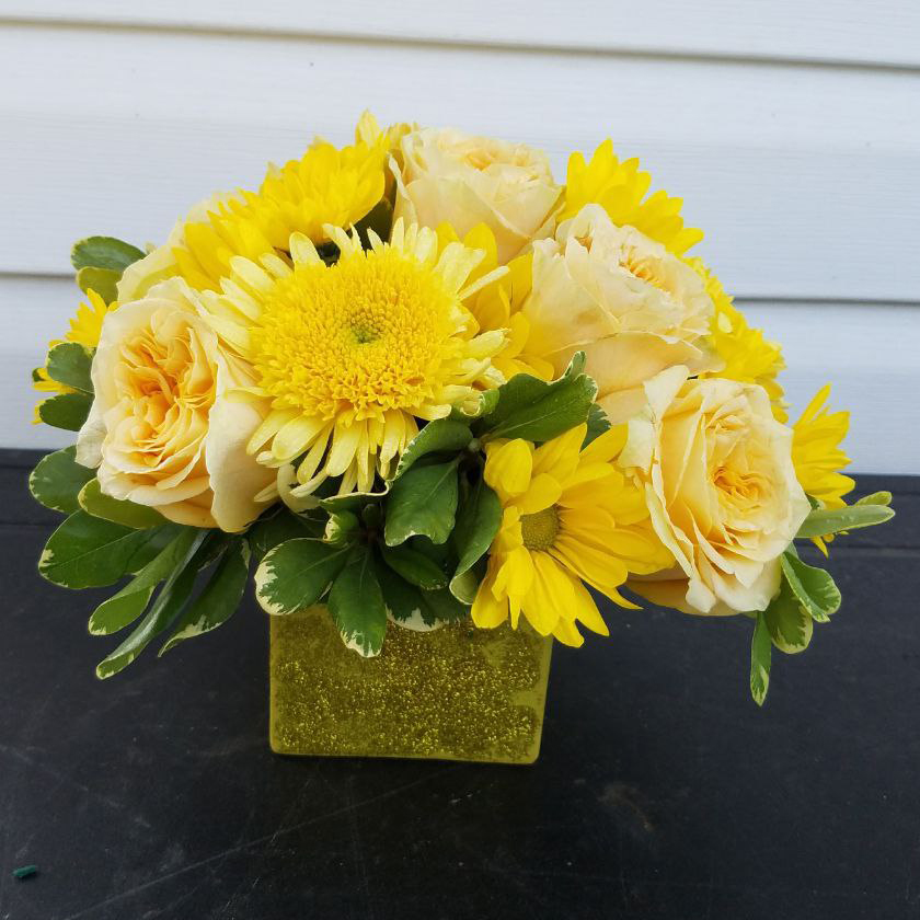 Golden Florals cat New Baby boy or baby girl ,summer $95$115$155