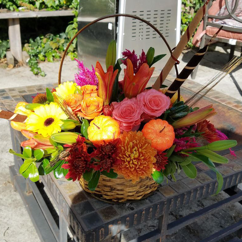 Harvest full of Goodies cat fall, $115$125$155