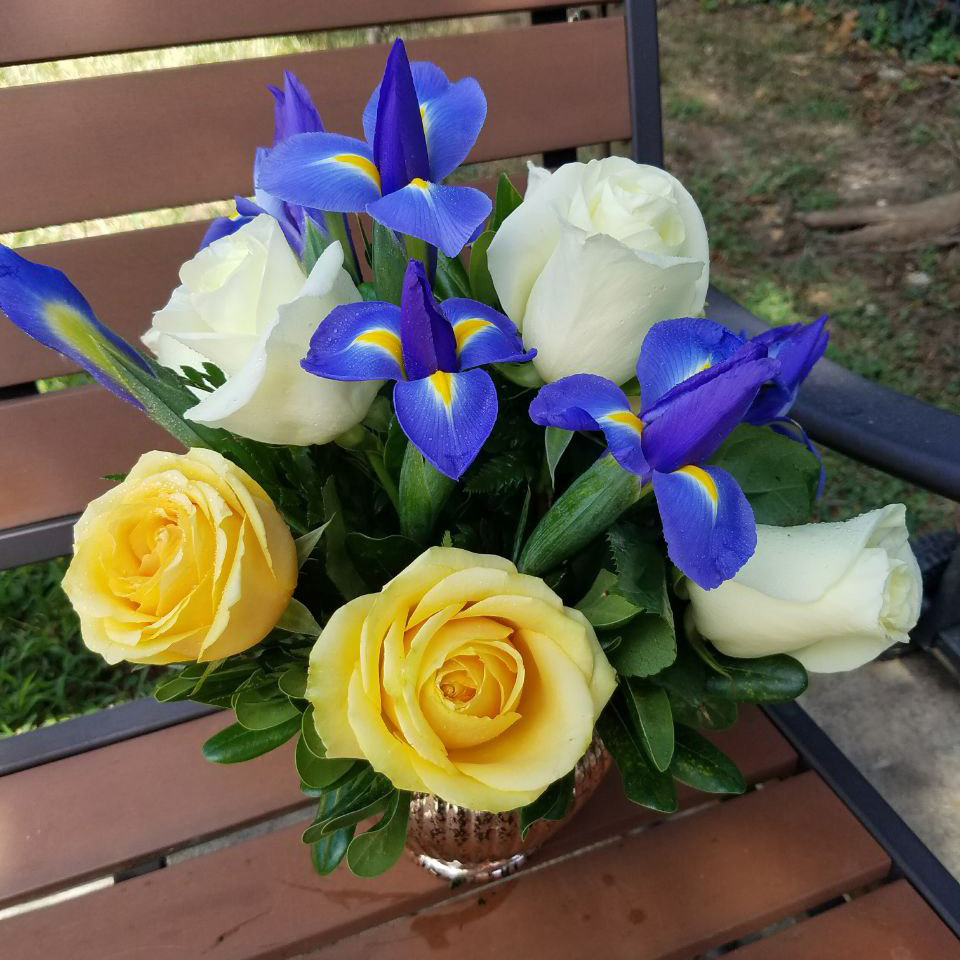 Iris and Blooms cat spring $125 $155 $165