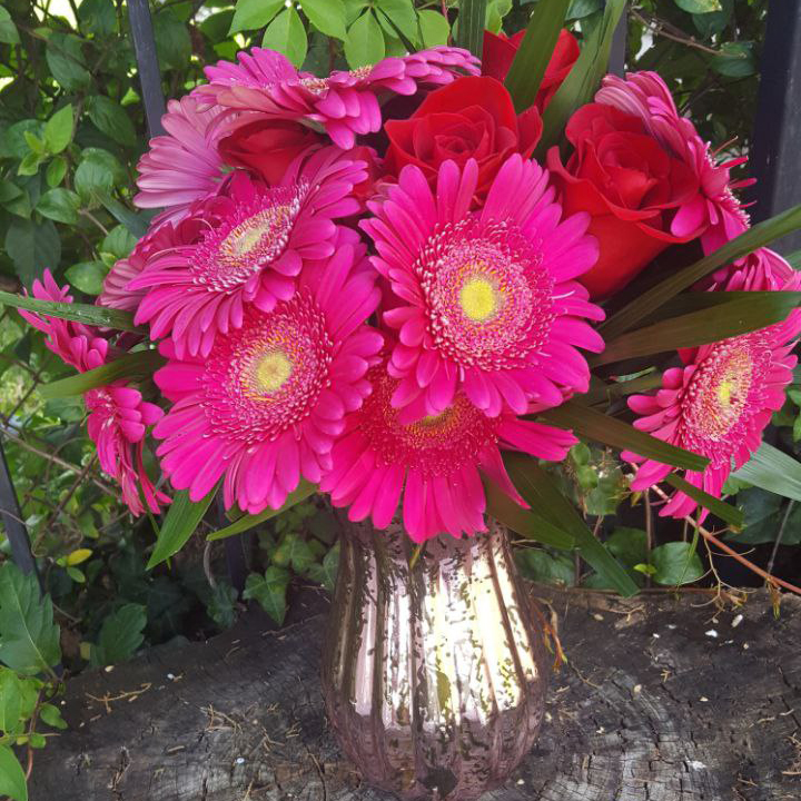 Lux Floral cat birthday Valentine new baby girl $110 $125 $135