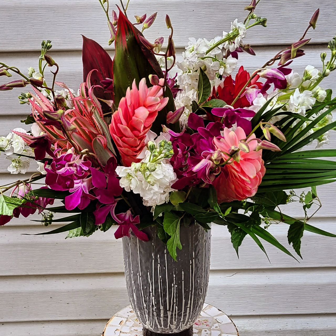 Mesmerizingly yours cat tropical everyday birthday $165 $195 $220