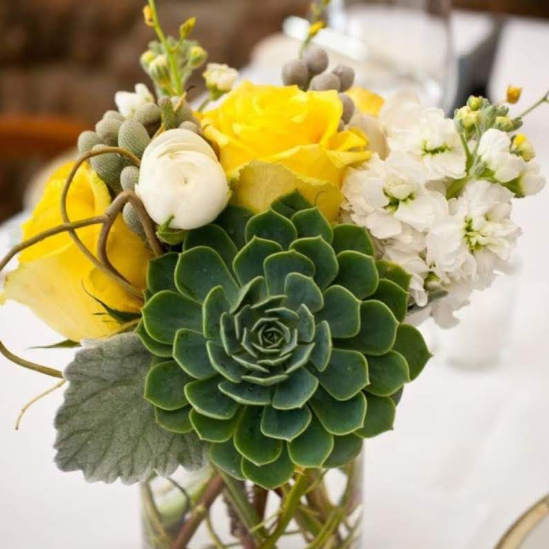 Only you matter cat spring birthday congratulations anniversary $95 $115 $125