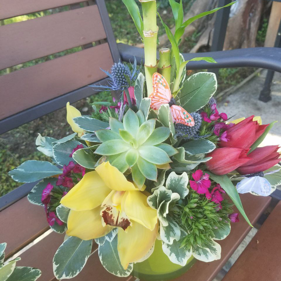 Orchids and Echivera cat birthday new baby summer $95 $115 $125