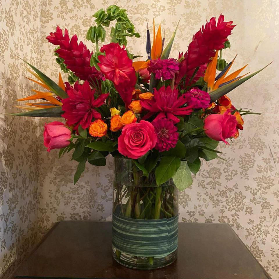 Paradise in Tropical cat Tropical High end, birthday $189 $250$300$