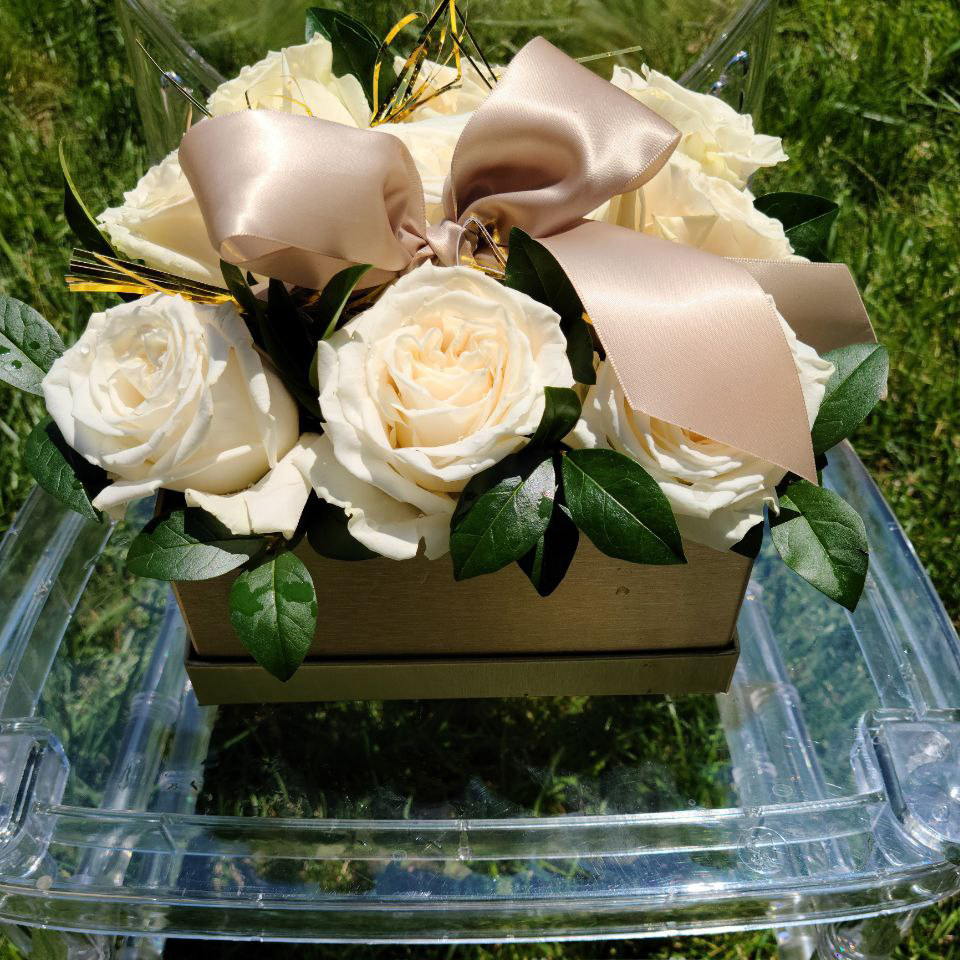 Playa Blanca Roses cat roses anniversary birthday everyday $150 $180 $205