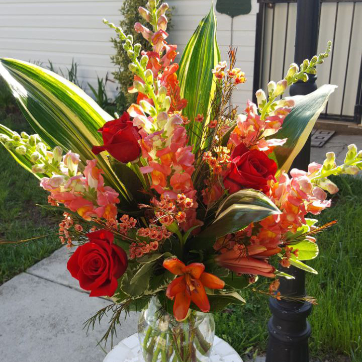 Rise and Shine cat Birthday, Tropical, summer $145 $185 $225