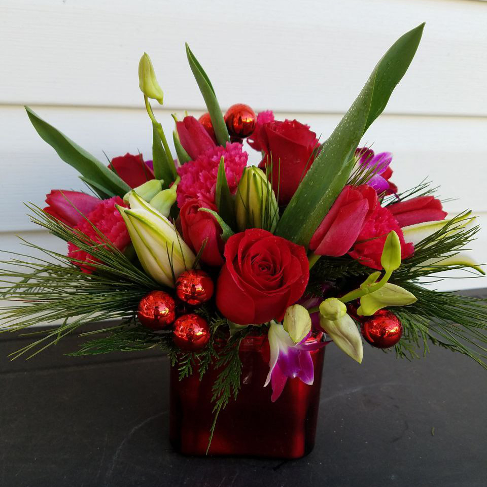 Roses and Balls Tribia cat Christmas $95$115$135