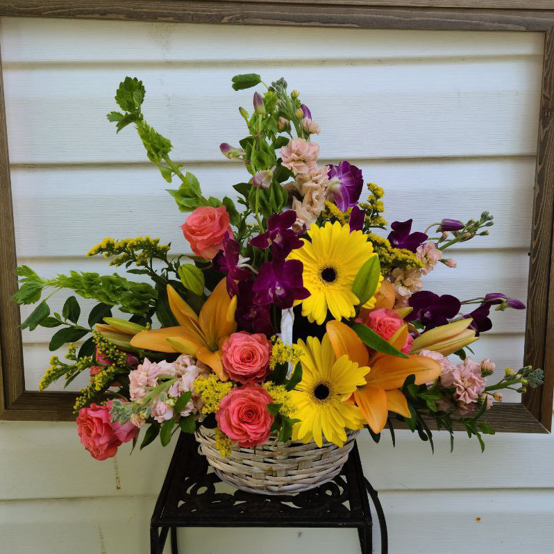 Secret Garden cat easter summer fall summer $135 $150 $165