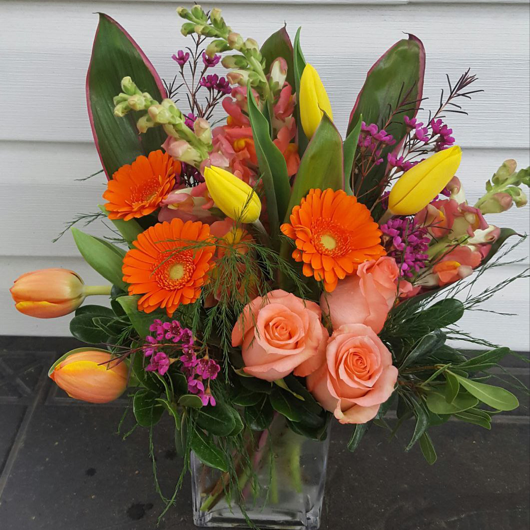 Shine Bright cat summer fall birthday congratulations $115 $135 $155