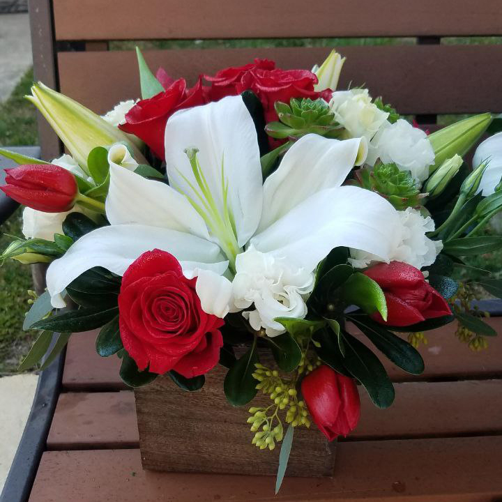 Simply Sweet cat Christmas, roses $95 $115 $125