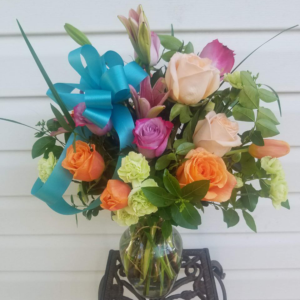 Soft Touches Cat everyday, birthday, summer $120 $135 $150