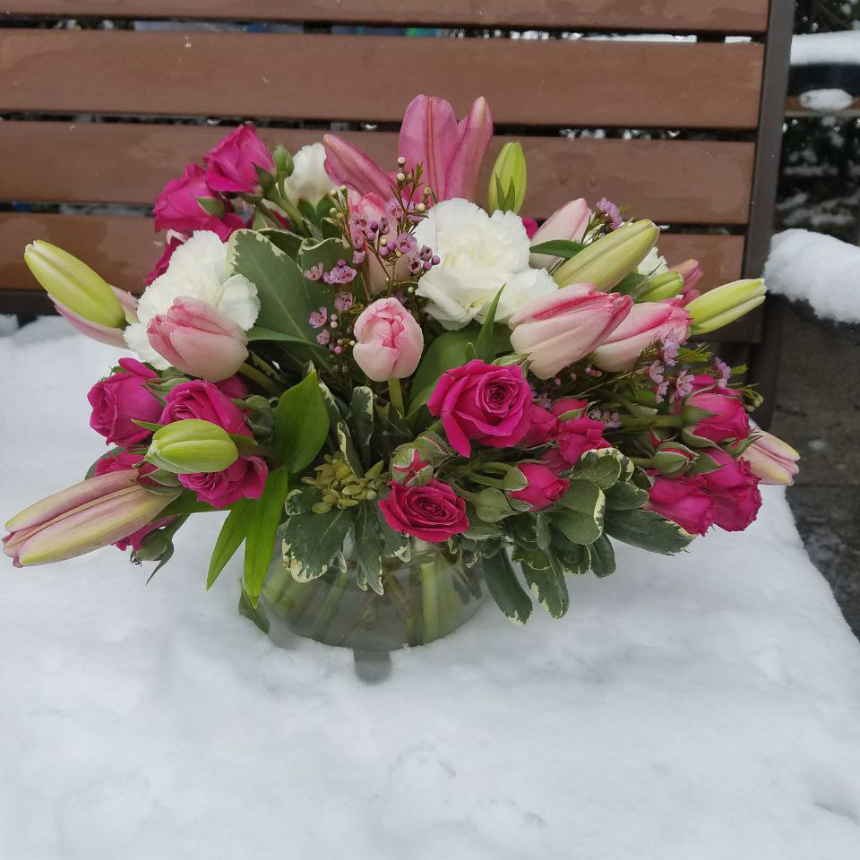 Spring in Color cat Birthday valentine everyday spring $125$155$175