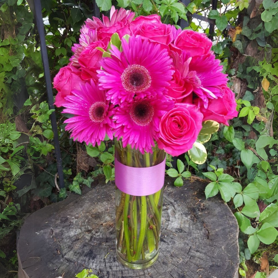 Stoic Roses and Gerber cat valentine,roses, birthday $115$135$155