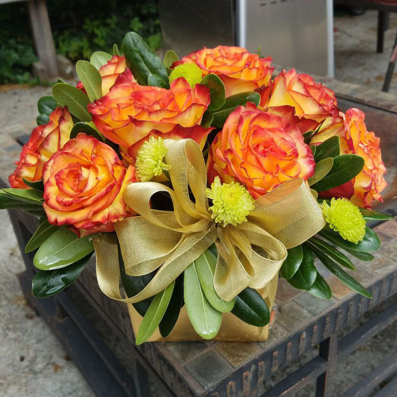 Sun Setting cat roses birthday anniversary summer fall $110 $125 $150