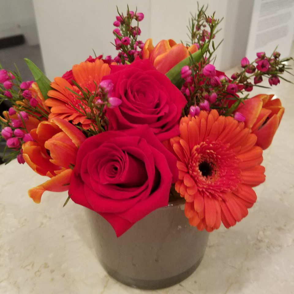 Sunrise and sunset cat summer, birthday everyday and fall $99 $125 $150