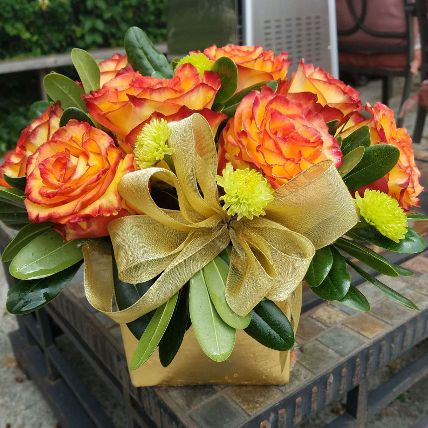 Sunset Roses cat Birthday,roses,summer$125$135$165