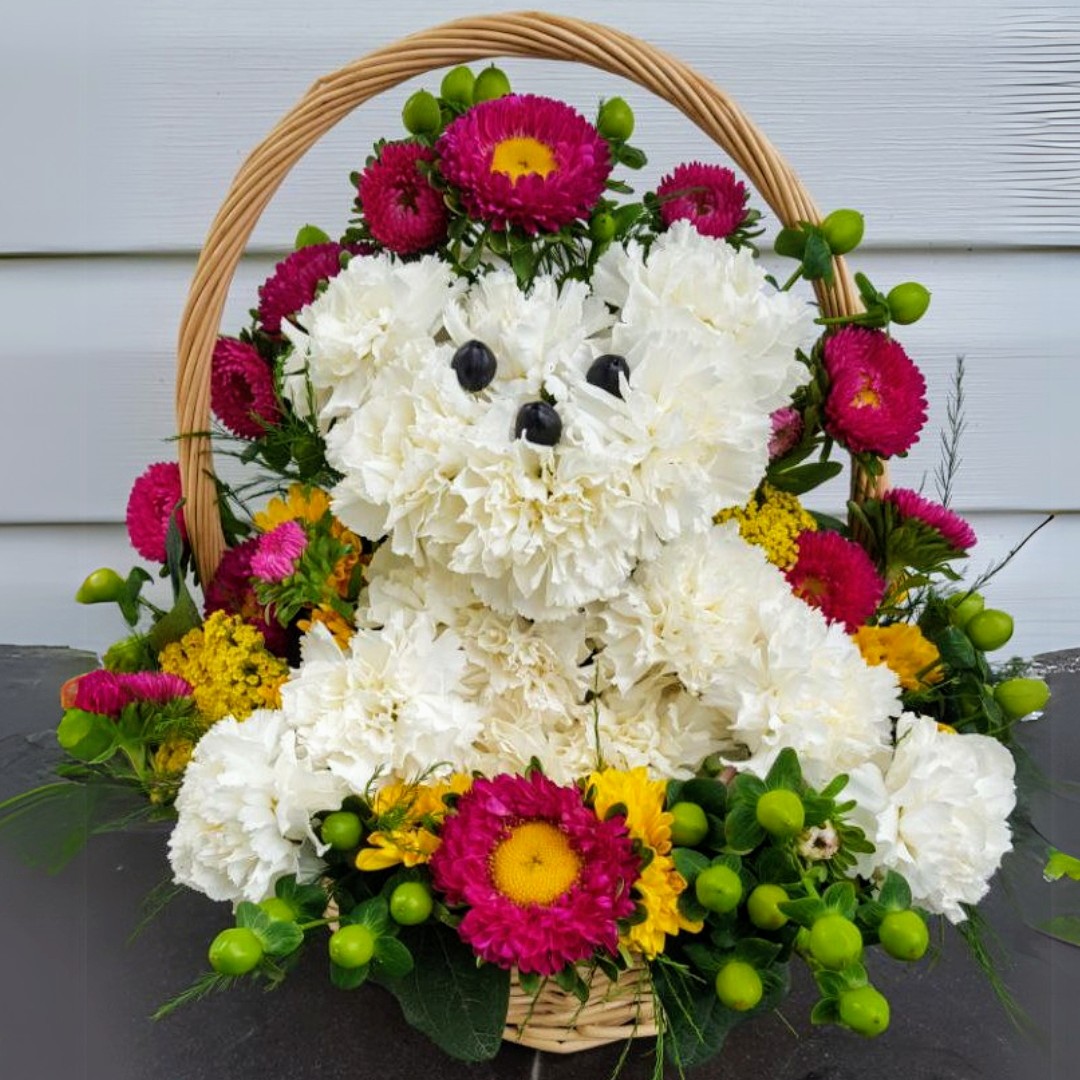 Sweet Pubby cat Birthday, new baby bow or girl $105 $125 $150