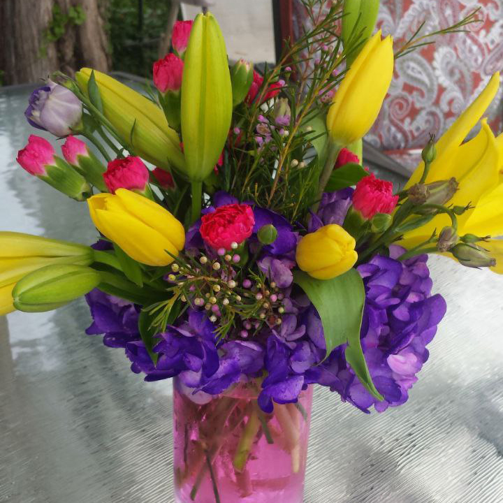 Tuliping Spring cat spring $115 $125 $155