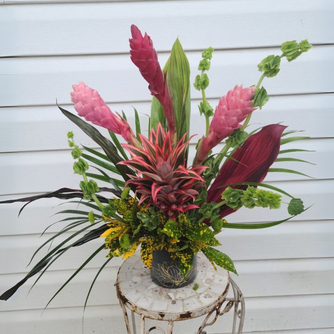 Whimsical Stems cat birthday congratulations tropical $115 $125 $150