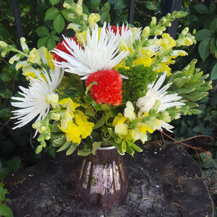 Wish Full cat spring, birthday $95 $125 $150