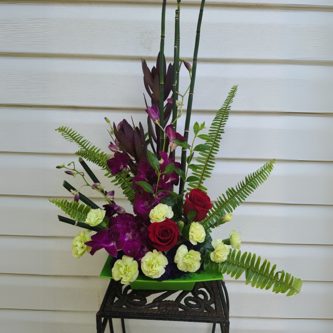 Zenful cat birthday congratulations tropical everyday $125 $155 $175