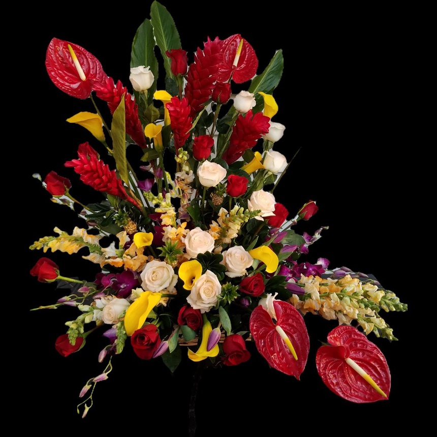 photo_5834541019981089967_y