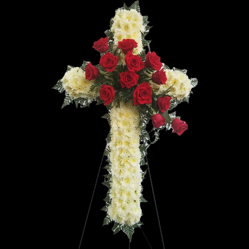 photo_5834541019981089982_y