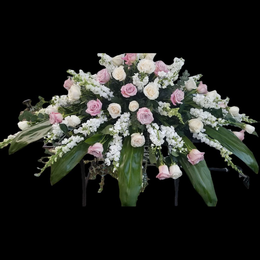 photo_5834541019981089983_y