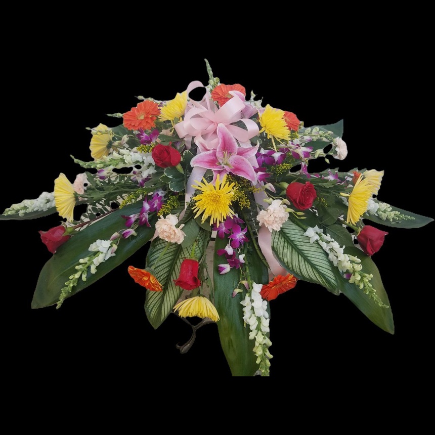 photo_5834541019981089984_y