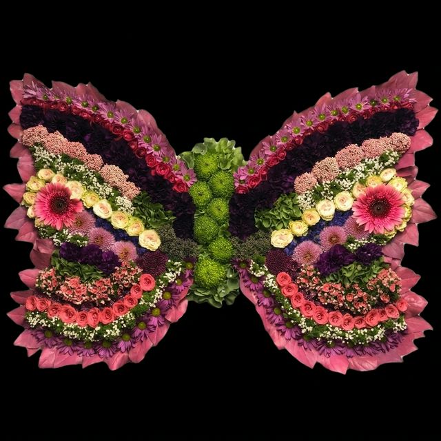 resized_butterfly_floral_1774697488884